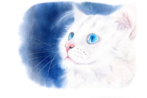 Download White Kitty Digital Prints PNG Files - Print Collection