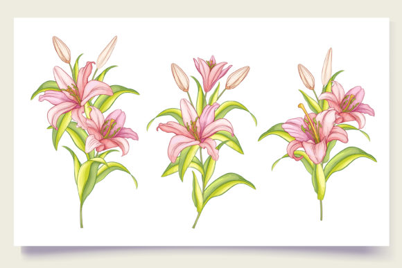 Download Hand Drawn Floral Wedding Card Set - Card Collection