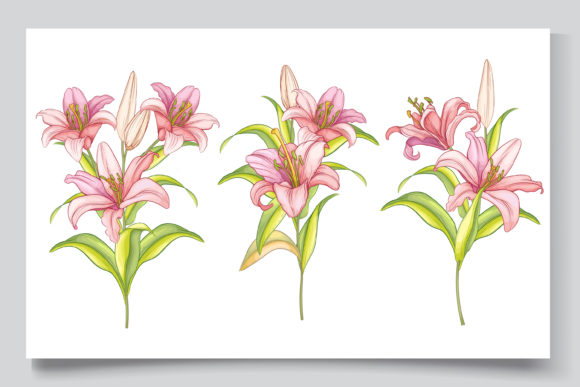 Download Hand Drawn Floral Wedding Card Set - Card Collection