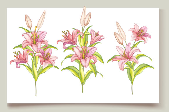 Download Hand Drawn Floral Invitation Card Set - Card Collection