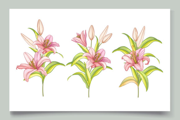Download Hand Drawn Floral Wedding Card Set - Card Collection
