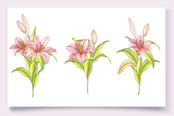 Download Hand Drawn Floral Wedding Card Set - Card Collection