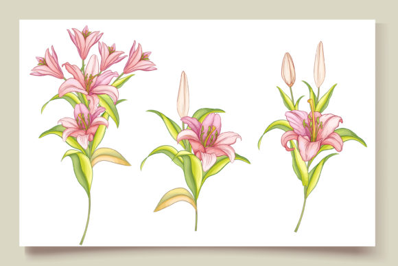 Download Hand Drawn Floral Wedding Card Set - Card Collection