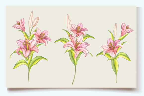 Download Hand Drawn Floral Wedding Card Set - Card Collection